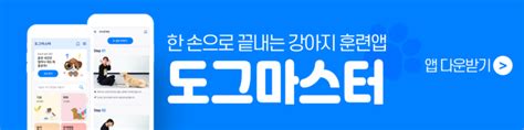 내일은 도그마스터 1화 비마이펫 크리에이터즈