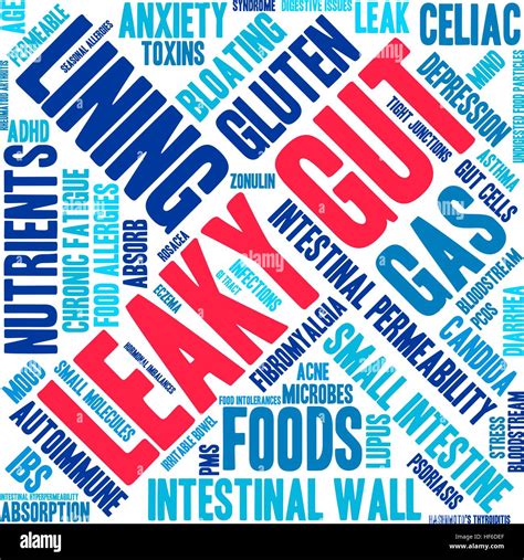 Leaky Gut Word Cloud On A White Background Stock Vector Image And Art Alamy