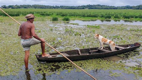 Fui meu pai e meu irmão buscar coco na canoa YouTube