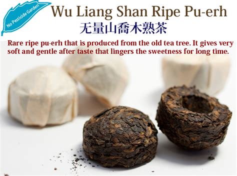 Wu Liang Shan Ripe Pu Erh Tea Hojo Tea