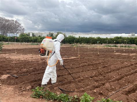 Control De Nematodos Ensayos Con Nematicidas Biocontrol Neval