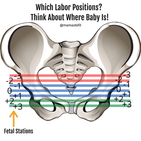 Best Laboring Positions For Birth Mamastefit