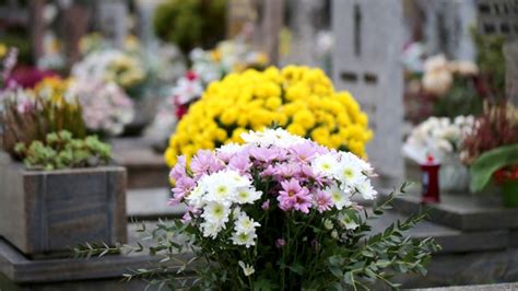 Cette Bretonne au grand coeur récupère ses bouquets invendus pour