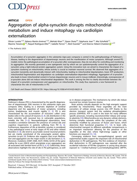 Pdf Aggregation Of Alpha Synuclein Disrupts Mitochondrial Metabolism