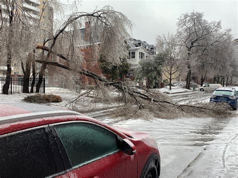 Ottawa's post-ice storm cleanup continues | CityNews Ottawa