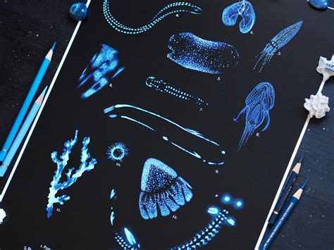 Deep Sea Bioluminescence Poster Fine Art Print | krisztina dekany