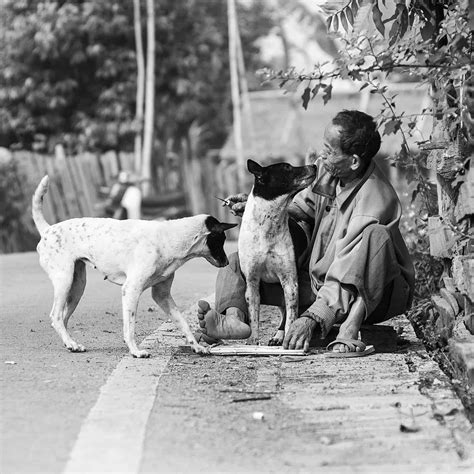 Do They Eat Dog Meat In Thailand? – Go Every Corner!