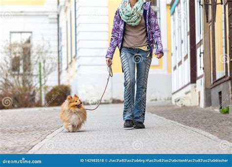 Woman Leads Her Dog On A Leash Stock Photo Image Of Dogs Friend