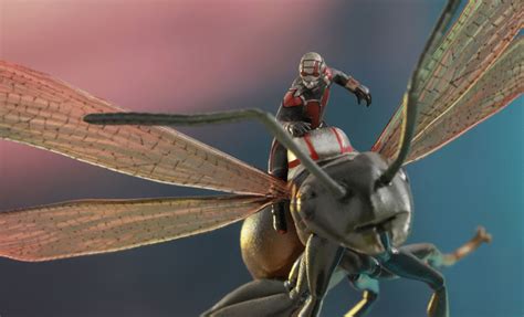 Details On New Hot Toys Ant Man Collectible DisKingdom