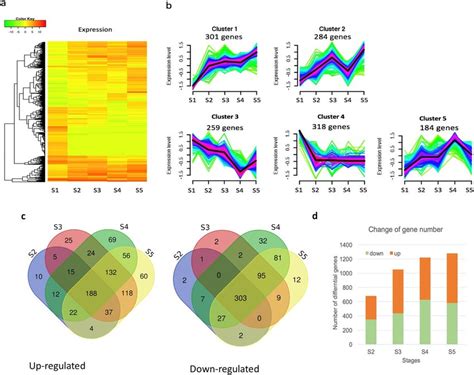 Expression Patterns Of Differential Genes In Time Course Series To