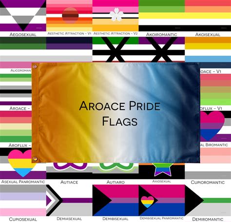 Choose Your Aroace Pride Wall Flags Single Reverse Etsy India