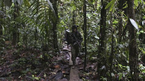 Queremos Que Nos Protejan Indígenas Colombianos Escondidos En La