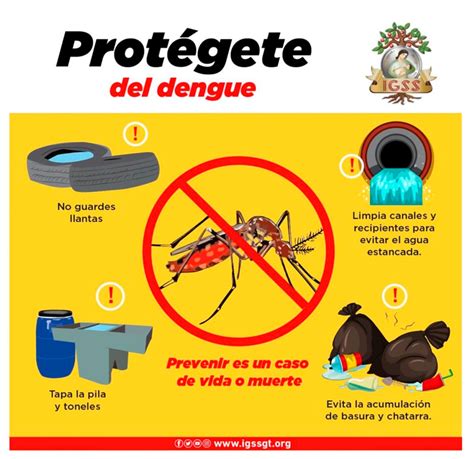 Prevenga El Dengue Seguridad Social Ahora