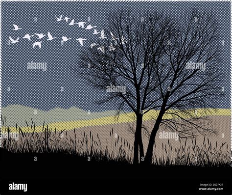 Geese Migrating Stock Vector Images Alamy