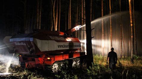 Vier Jahre Nach Dem Gro En Waldbrand Das Fichtenwalder Wunder Der