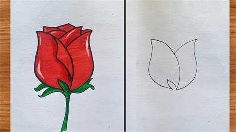 How To Draw Red Rose 2024 Rose Drawing Step By Step For Beginners