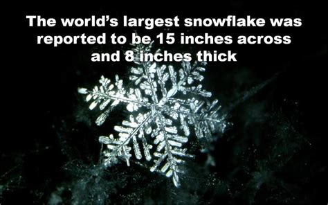 The world’s largest snowflake was reported to be 15 inches across and 8 ...