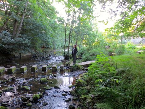 The Next Step On The Trail Blakey Ridge To Egton Bridge 19km