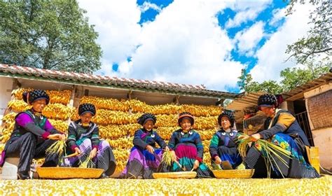 镜头下的四川大凉山：丰收的凉山四川在线