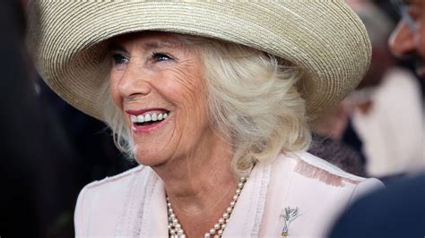 Koningin Camilla Is Jarig D T Wist Jij Nog Niet Over Haar Blauw Bloed