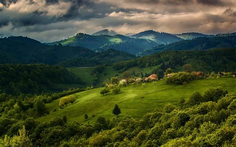 Wallpaper Trees Landscape Forest Mountains Hill Lake Nature