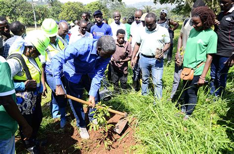 Capitalise On Carbon Credits From Tree Planting Rotarians Told New