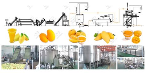 Mango Juice Process Line Solution