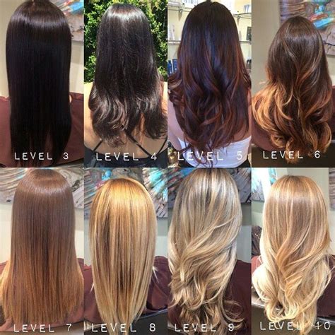 Good insight More Levels Of Hair Color, Hair Levels, Aveda Hair Color, Hair Color Pink, Couleur ...