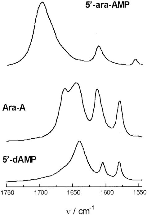 A Comparison Of The Ir Spectra In The Solid State Of 5 Damp Ara A And Download Scientific