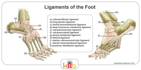 Plantar Fasciitis Treatment By King Brand