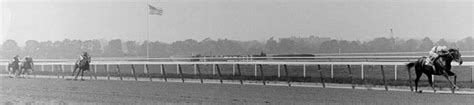 Ruffian Horse Racing Photos Nov 2021