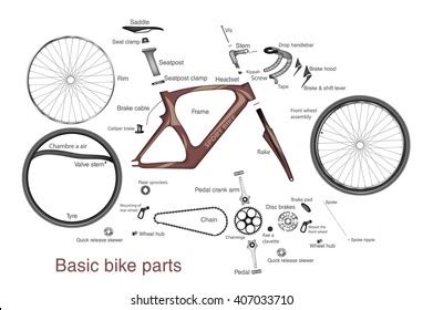 Infographic Main Bike Parts Names Stock Vector (Royalty Free) 407033710 | Shutterstock