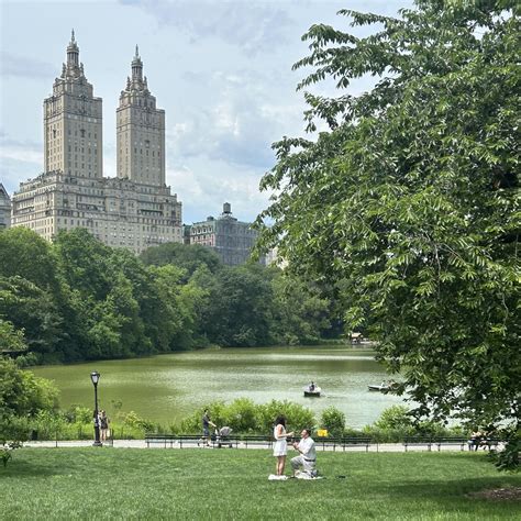 brooke singman husband 2