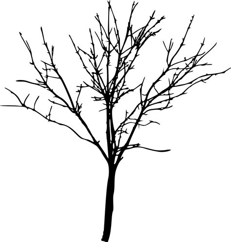 Bare Tree Png