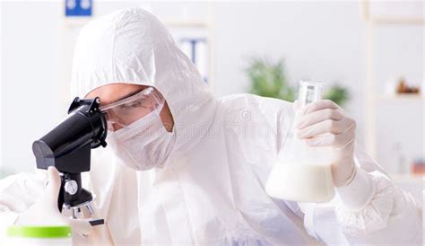 Cientista Do Alimento Que Testa O Material Novo No Laborat Rio Foto De