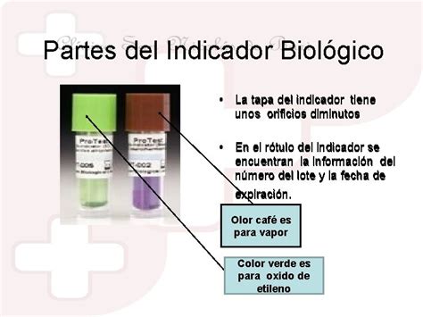 Indicadores Biolgicos Indicadores Biologicos Es Una Poblacin Viable