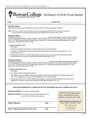 Fillable Online RCGC 2014 2015 Verification Of SNAP Benefits V4 Fax