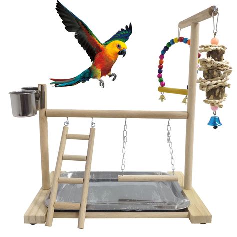 Amazon Hamiledyi Bird Playground Parrots Play Stand Natural