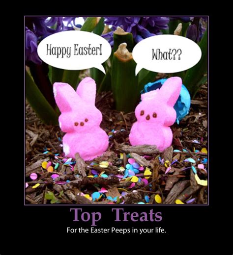 Easter Funny Adult Quotes Quotesgram