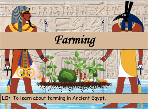 Ancient Egypt - Farming - Lesson 3 - KS2 | Teaching Resources