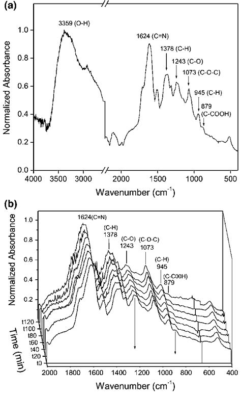 A Ftir Spectrum Of Betanin In The Region Of Cm B Ftir