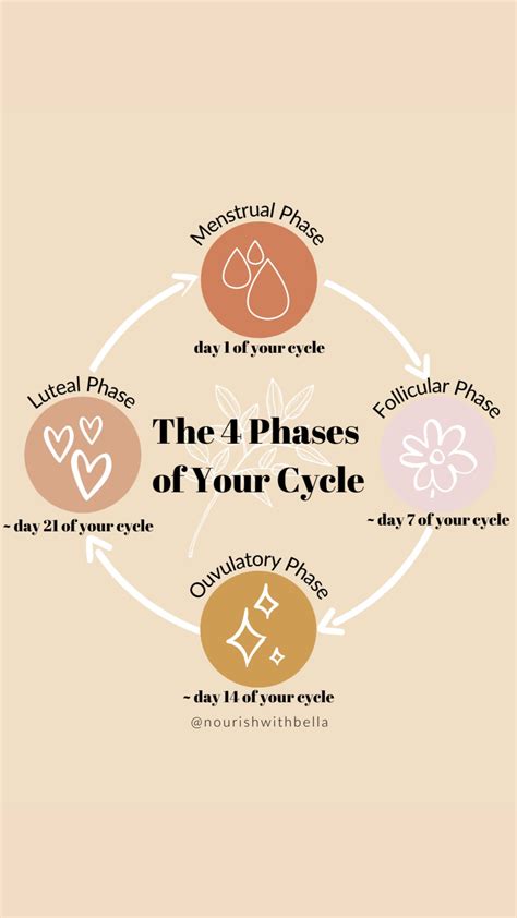 Cycle Syncing Menstrual Phase Tips Infographic Artofit