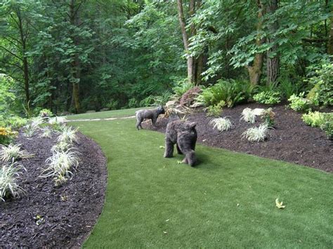 Wooded Backyard Landscape Ideas