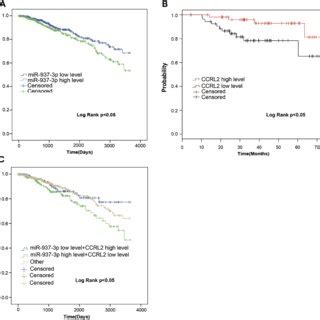 Mir P Is An Unfavorable Prognostic Factor In Breast Cancer Notes