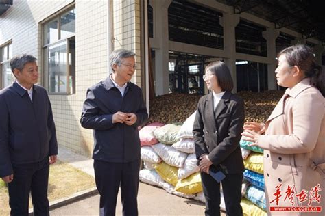 李殿勋：统筹推进乡村振兴和县域经济高质量发展 要闻 湖南在线 华声在线