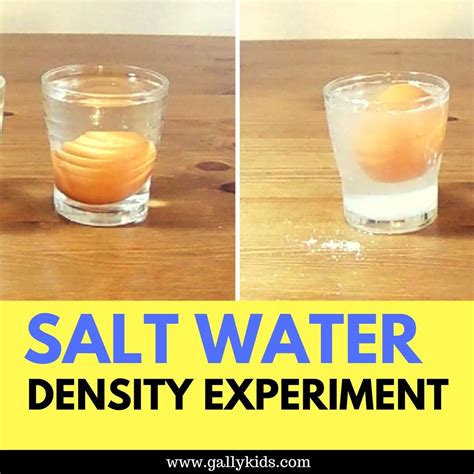 Density Experiment With Egg And Salt Water