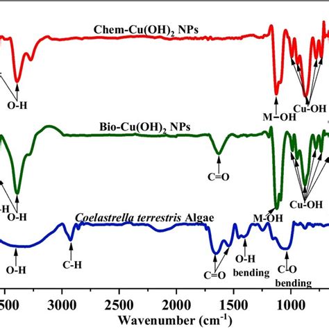 Ftir Spectra Of Coelastrella Terrestris Algae Bio Cu Oh 2 Nps And Download Scientific Diagram