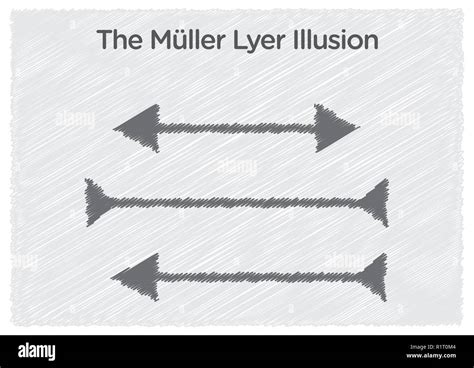 Muller-Lyer optical illusion illustration Stock Vector Image & Art - Alamy