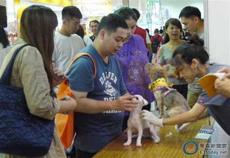 台北寵物展每日300狂犬疫苗免費打 貓狗兔等愛心認養 Ettoday寵物雲 Ettoday新聞雲