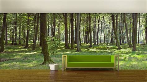 Woodland Forest Self Adhesive Wallpaper Woodland Wallpaper Forest